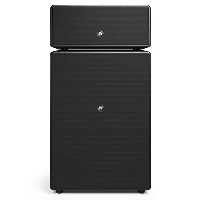 Audio Pro Drumfire W Black Multiroom Akıllı Ev Hoparlörü