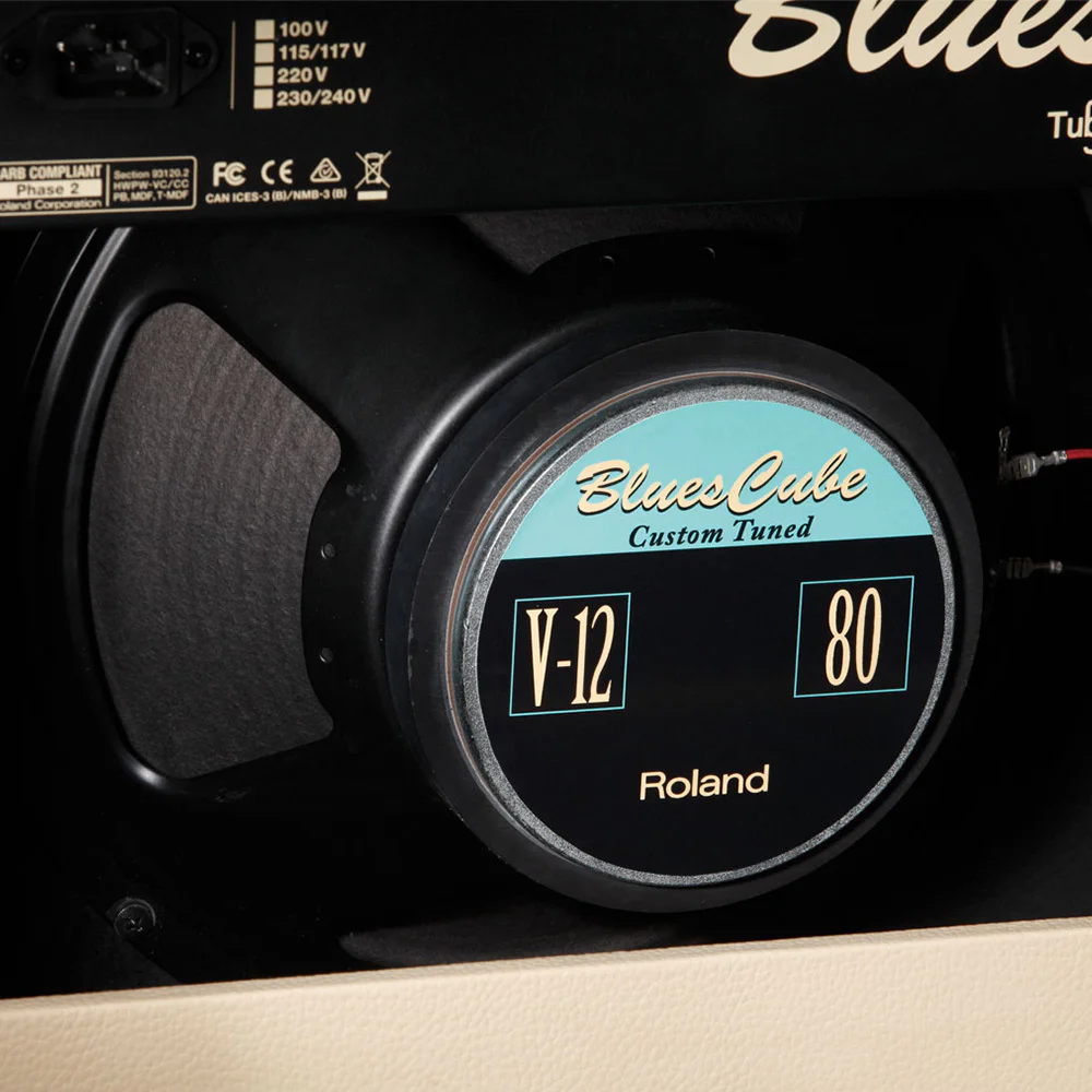 ROLAND Blues Cube Stage 60 Watt Elektro Gitar Amfisi