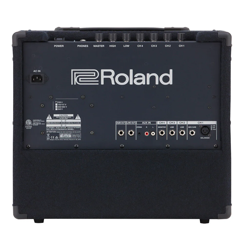 ROLAND KC-200 Klavye Amfisi