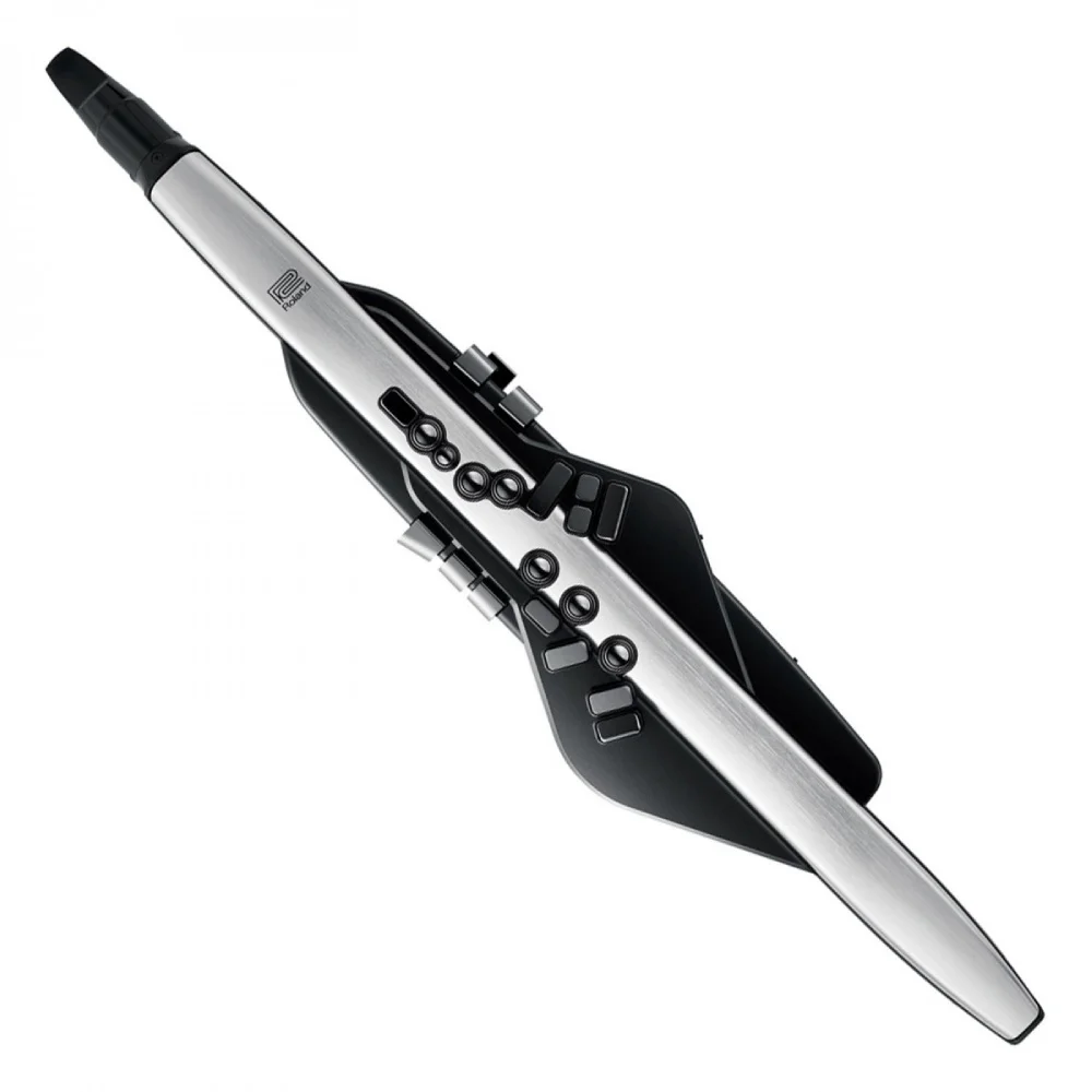 Roland AE-30 Aerophone Pro Dijital Nefesli Enstrüman