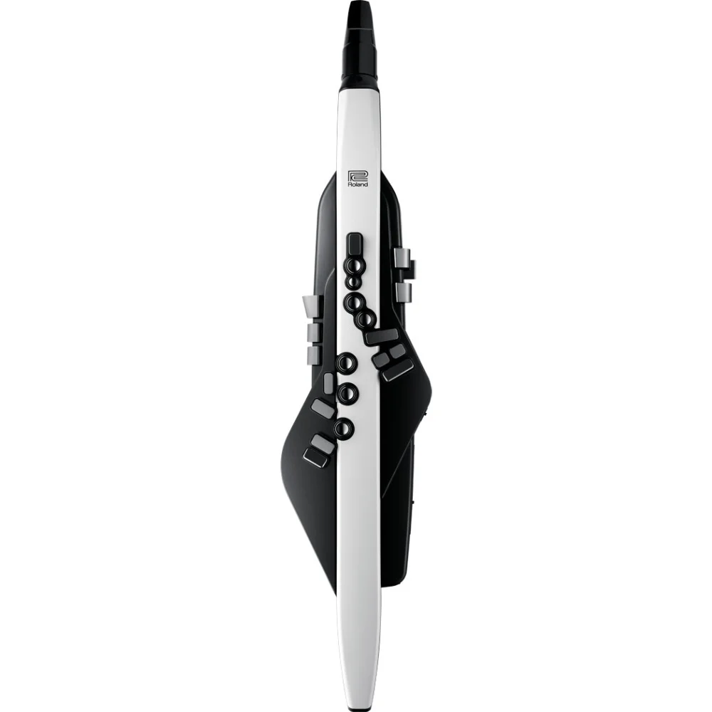 ROLAND AE-20 Aerophone Dijital Nefesli Enstrüman