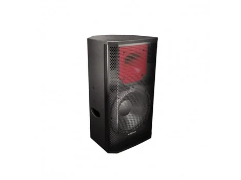 Audiocenter PL312 300W 12" Pasif Hoparlör Kabini