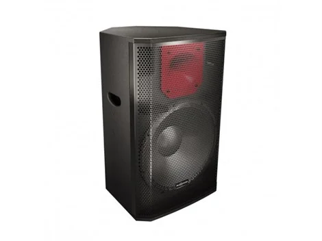 Audiocenter PL315 400W 15" Pasif Hoparlör Kabini
