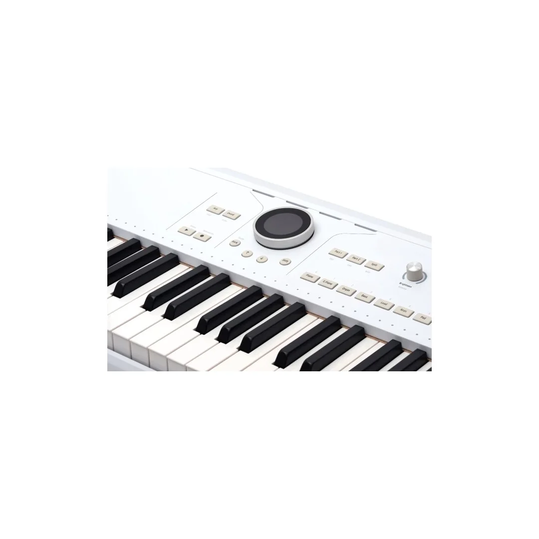 Arturia AstroLab 61 | Tuş Stage/Studio Keyboard