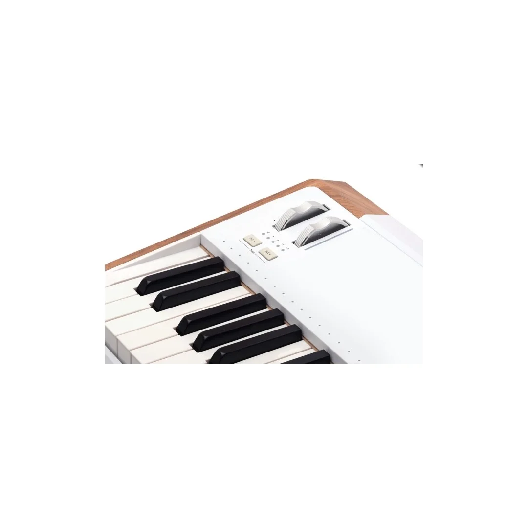 Arturia AstroLab 61 | Tuş Stage/Studio Keyboard
