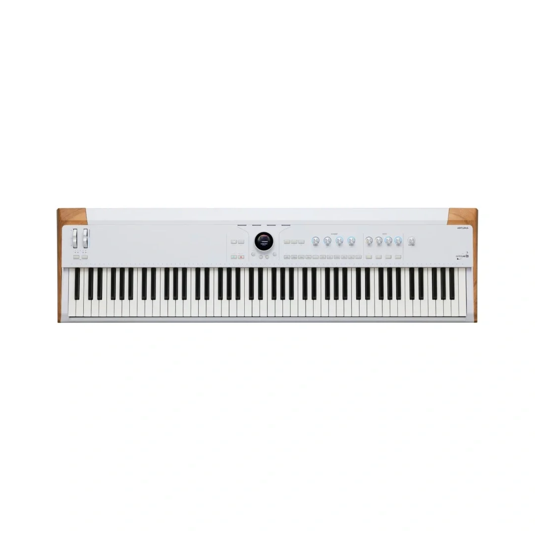 Arturia AstroLab 88 | 88 Tuş Stage/Studio Keyboard