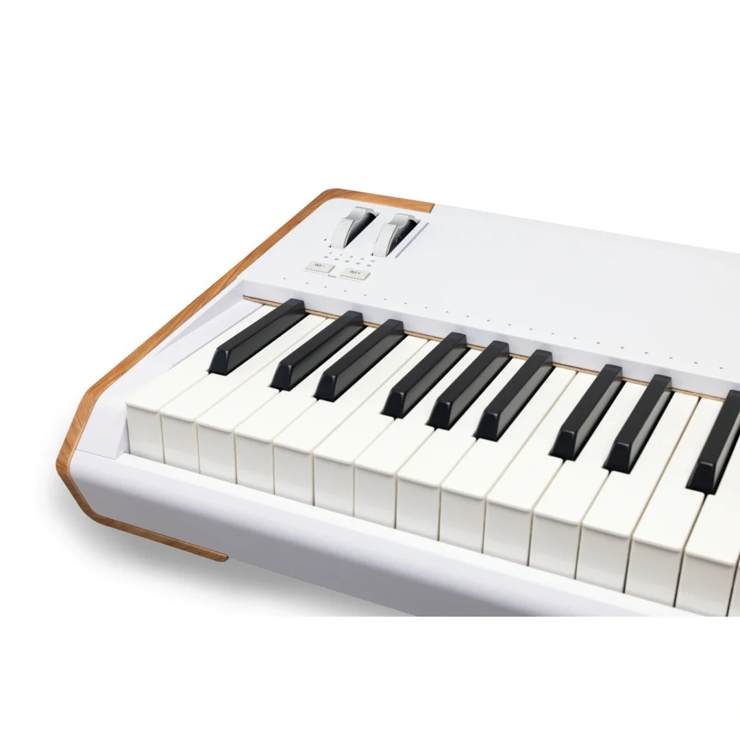 Arturia AstroLab 88 | 88 Tuş Stage/Studio Keyboard