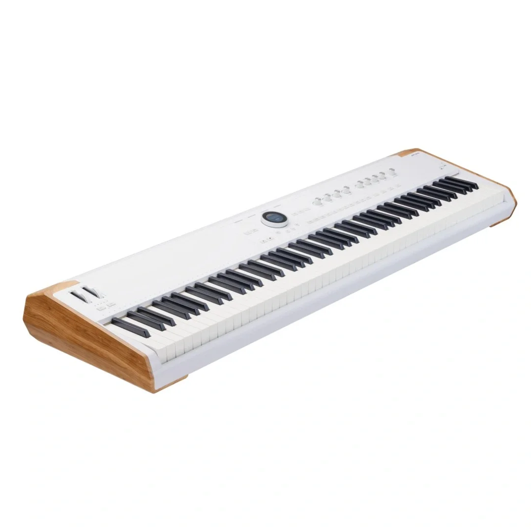 Arturia AstroLab 88 | 88 Tuş Stage/Studio Keyboard