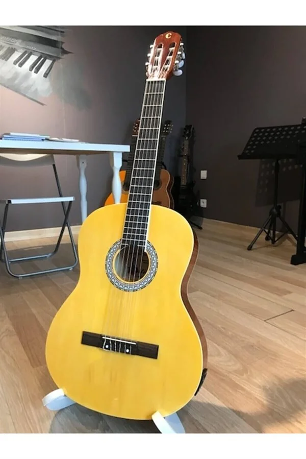 Castilla Elektro Klasik Gitar, Natural (XFP41-11C/LC5-YW)
