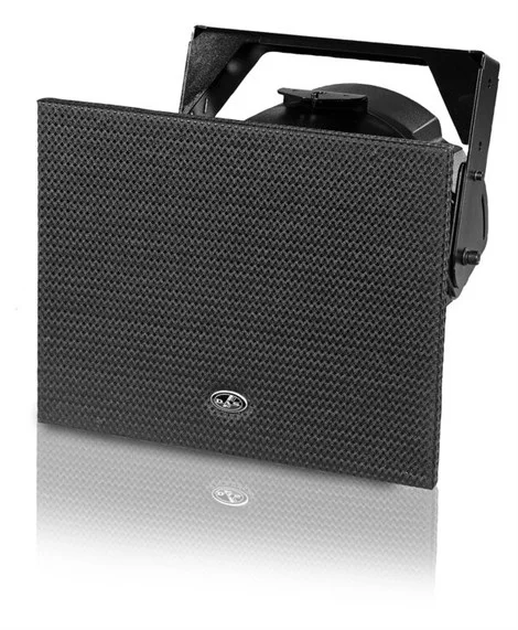 DAS AUDIO BIDRIVER-PLUS-T 10" 2-yollu Coaxial Horn Hoparlör Trafolu