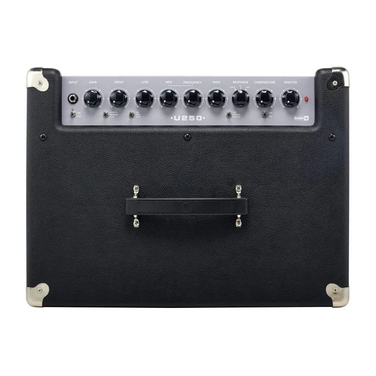 Blackstar Unity Bass 250-watt 1x15" Aktif Bas Kabin