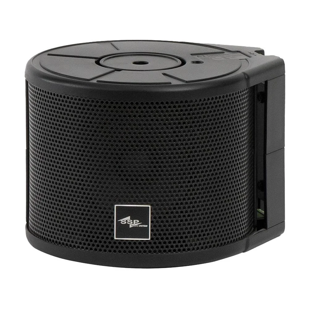 SSP Audio A1 3" Koaksiyel Mini Küp Hoparlör (Siyah)