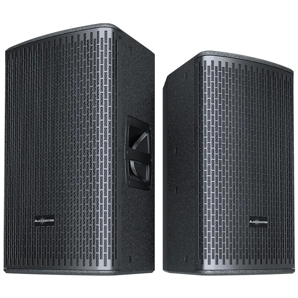 Audiocenter GT510P 10" Pasif Hoparlör