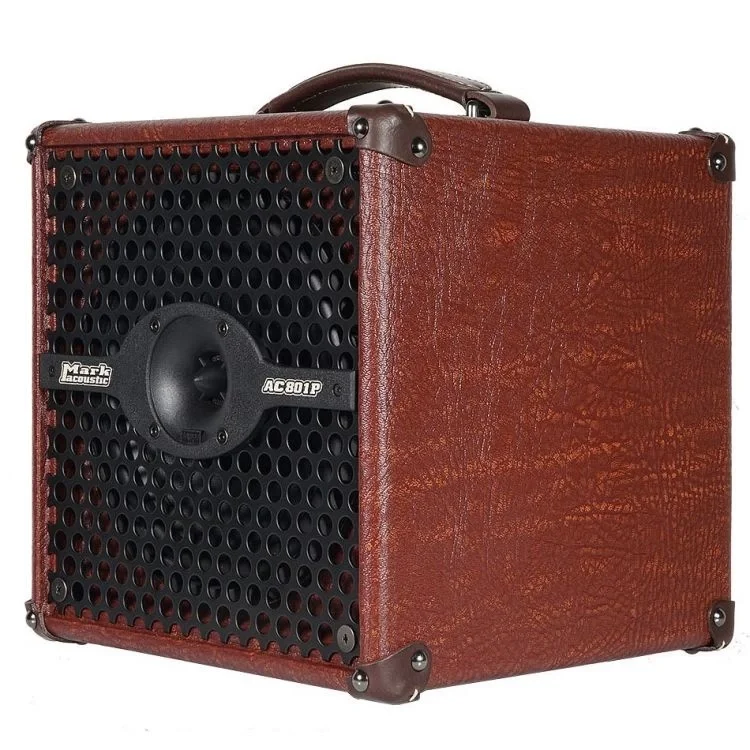 DV MARK AC801P Akustik Gitar Amfisi