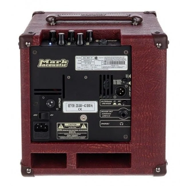 DV MARK AC801P Akustik Gitar Amfisi