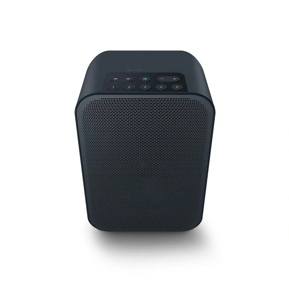 Blue Sound Flex 2i Taşınabilir Kablosuz Hoparlör