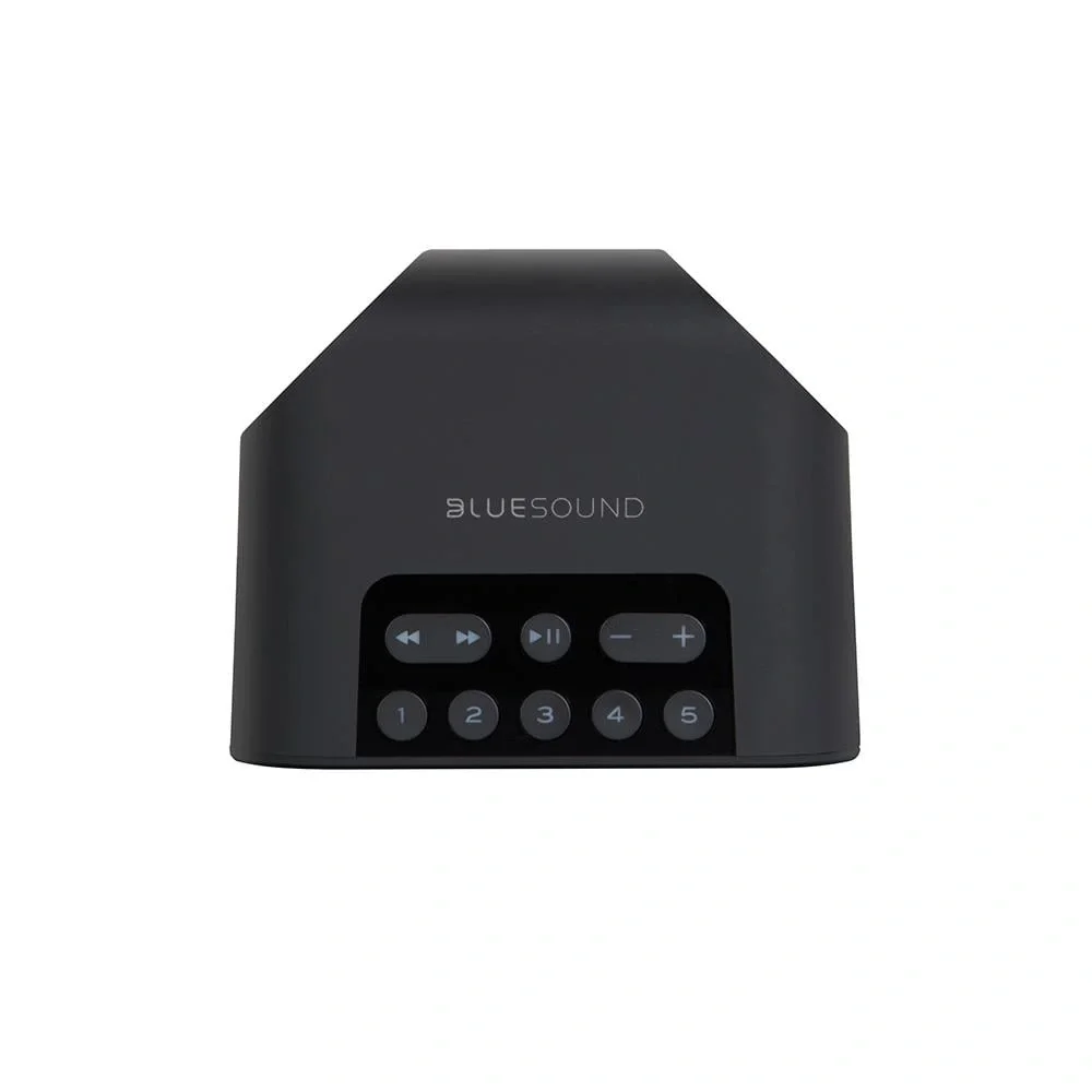 Blue Sound Flex 2i Taşınabilir Kablosuz Hoparlör