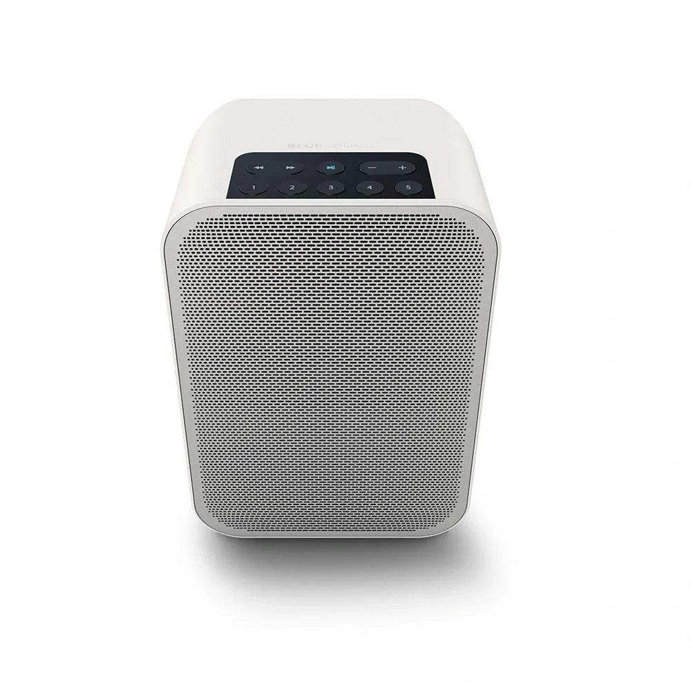 Blue Sound Flex 2i Taşınabilir Kablosuz Hoparlör