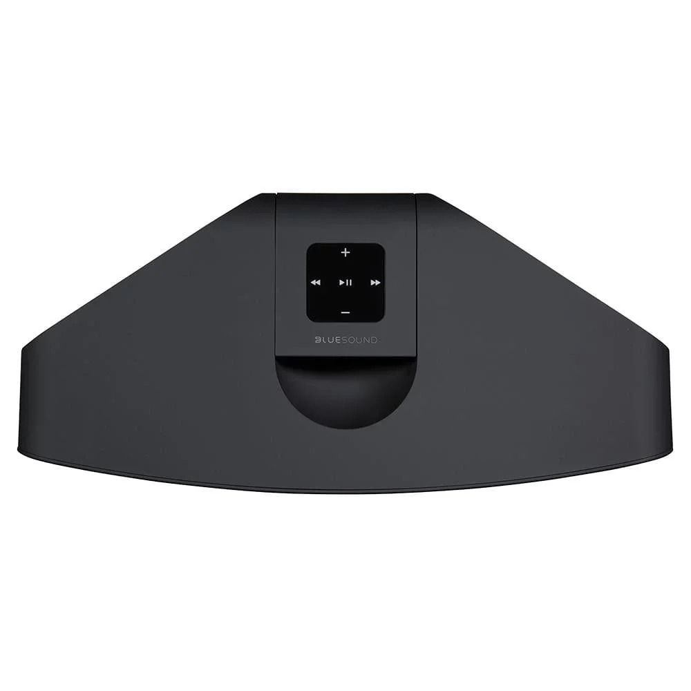 Blue Sound Pulse 2i Taşınabilir Kablosuz Hoparlör
