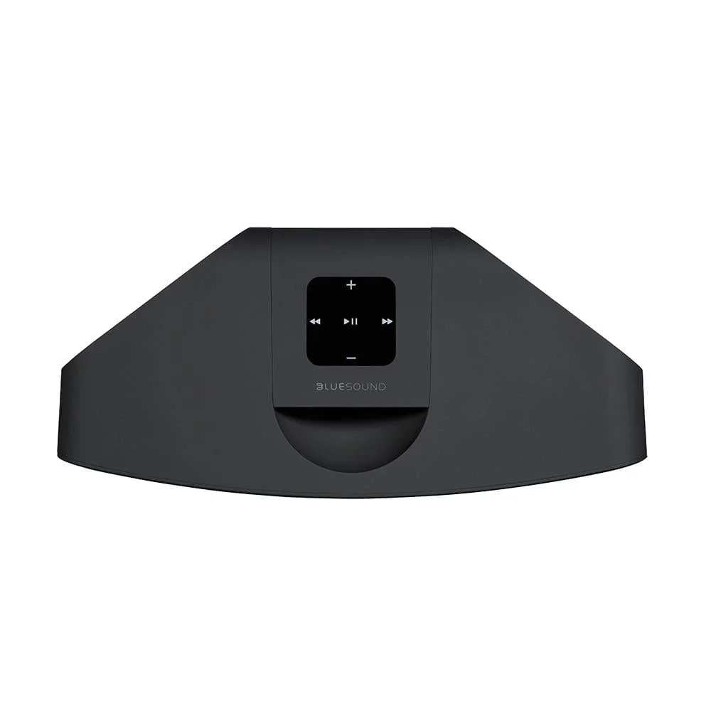 Blue Sound Pulse Mini 2i Taşınabilir Kablosuz Hoparlör
