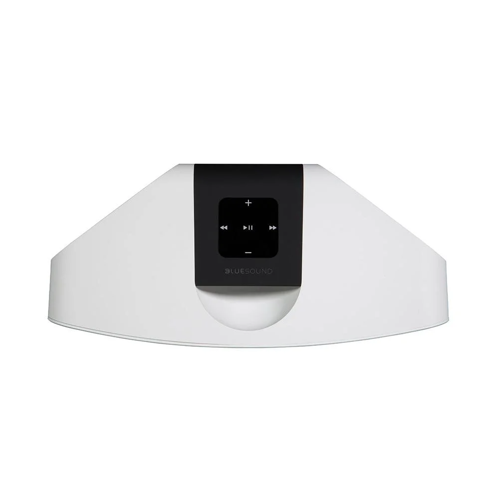Blue Sound Pulse Mini 2i Taşınabilir Kablosuz Hoparlör