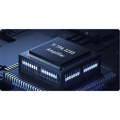WiiM Amp Entegre Ampli + Streamer