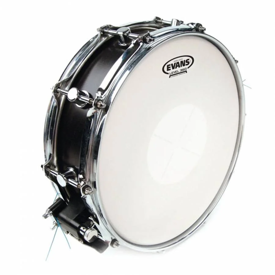 Evans B14G1D 14 Inc Kumlu Trampet Derisi