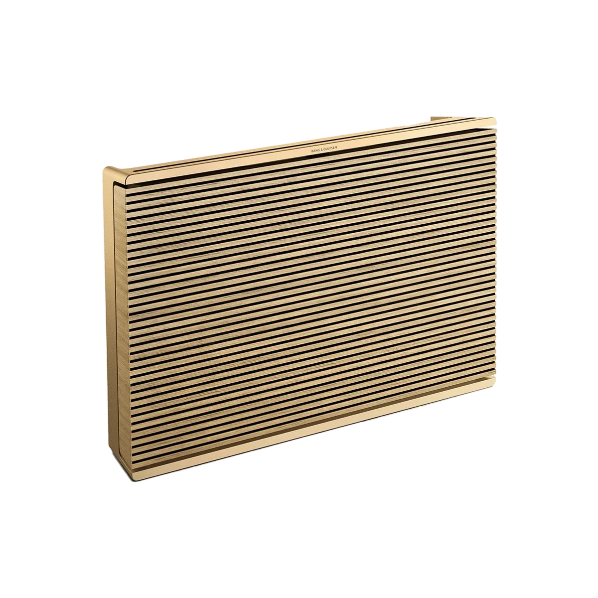 Bang & Olufsen Beosound Level Taşınabilir Multiroom Kablosuz Hoparlör