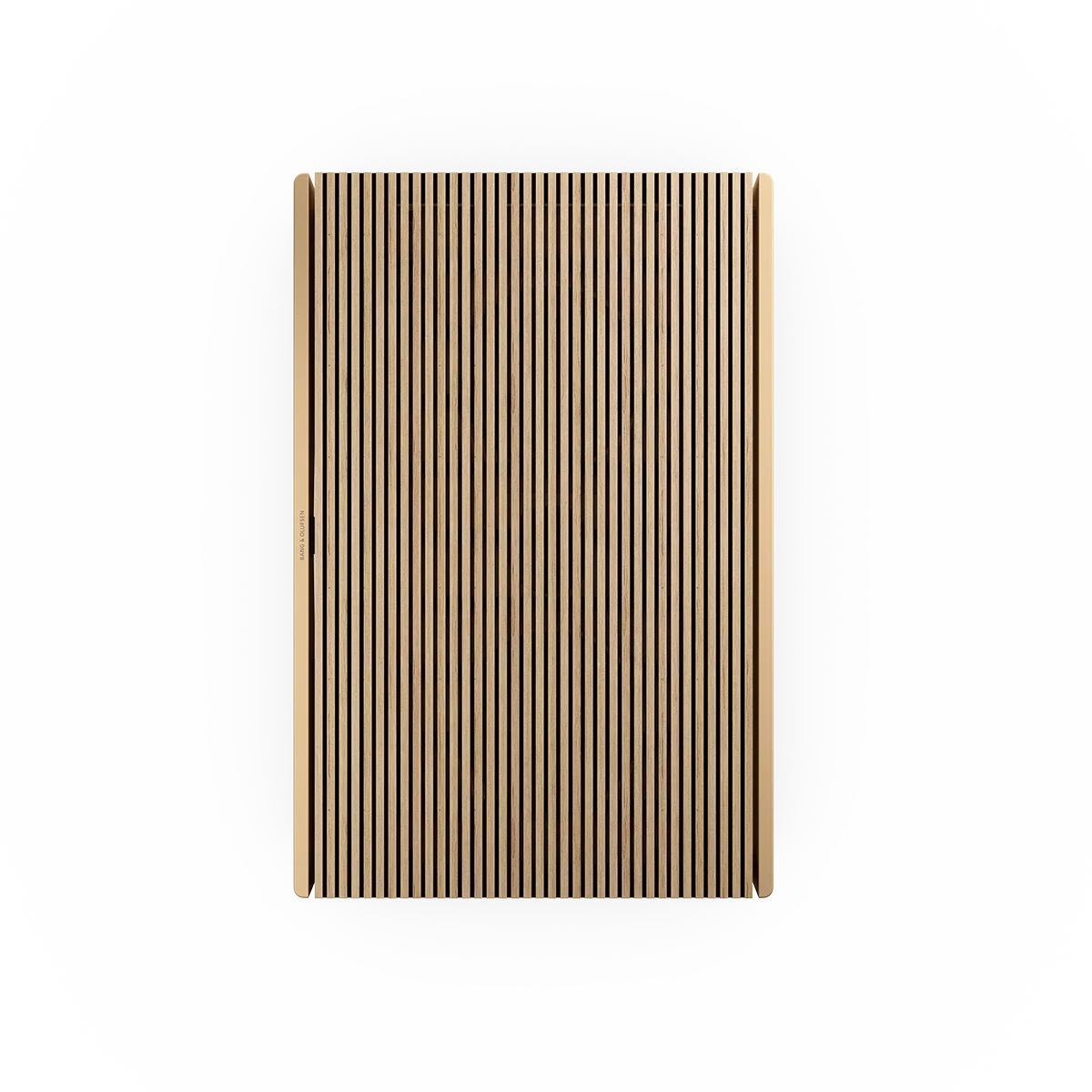 Bang &amp; Olufsen Beosound Level Taşınabilir Multiroom Kablosuz Hoparlör