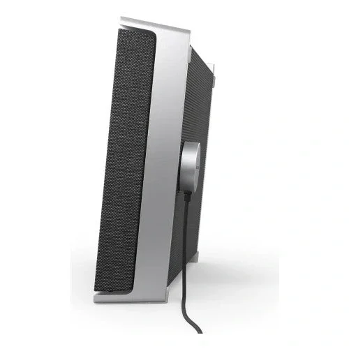 Bang &amp; Olufsen Beosound Level Taşınabilir Multiroom Kablosuz Hoparlör