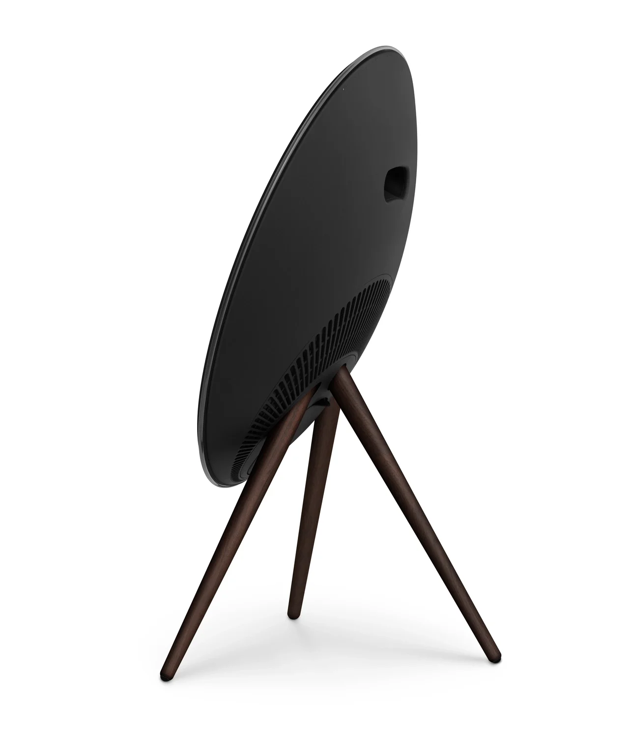 Bang &amp; Olufsen Beosound A9 Multiroom Kablosuz Hoparlör