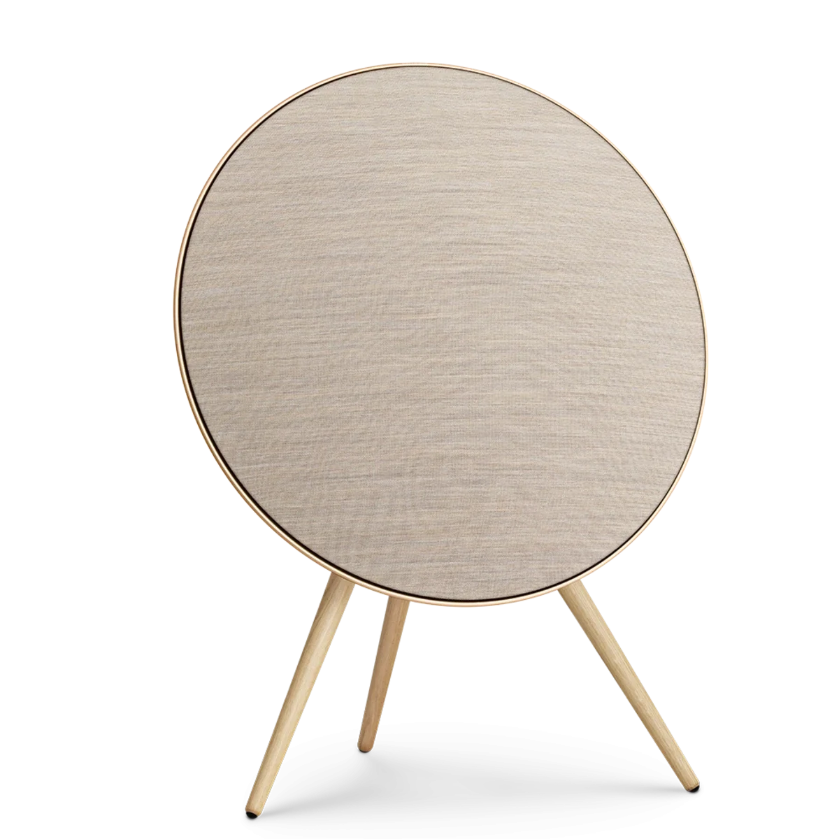 Bang &amp; Olufsen Beosound A9 Multiroom Kablosuz Hoparlör