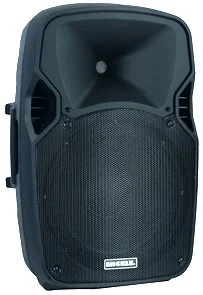 Mickle MV210 10" 600W 2 Yollu PP Pasif Kabin Hoparlör Siyah