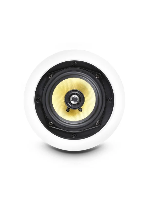 LDSYSTEMS LDCICS52100V LDSYSTEMS CICS52100V SPEAKER