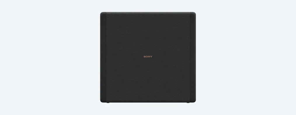 SONY SASW3