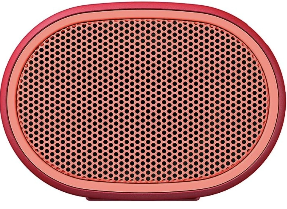 SONY SRS-XB01
