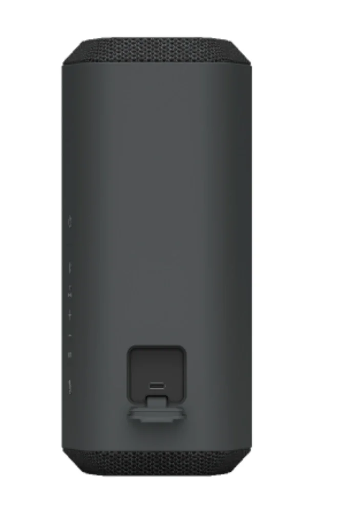 SONY SRS-XE300