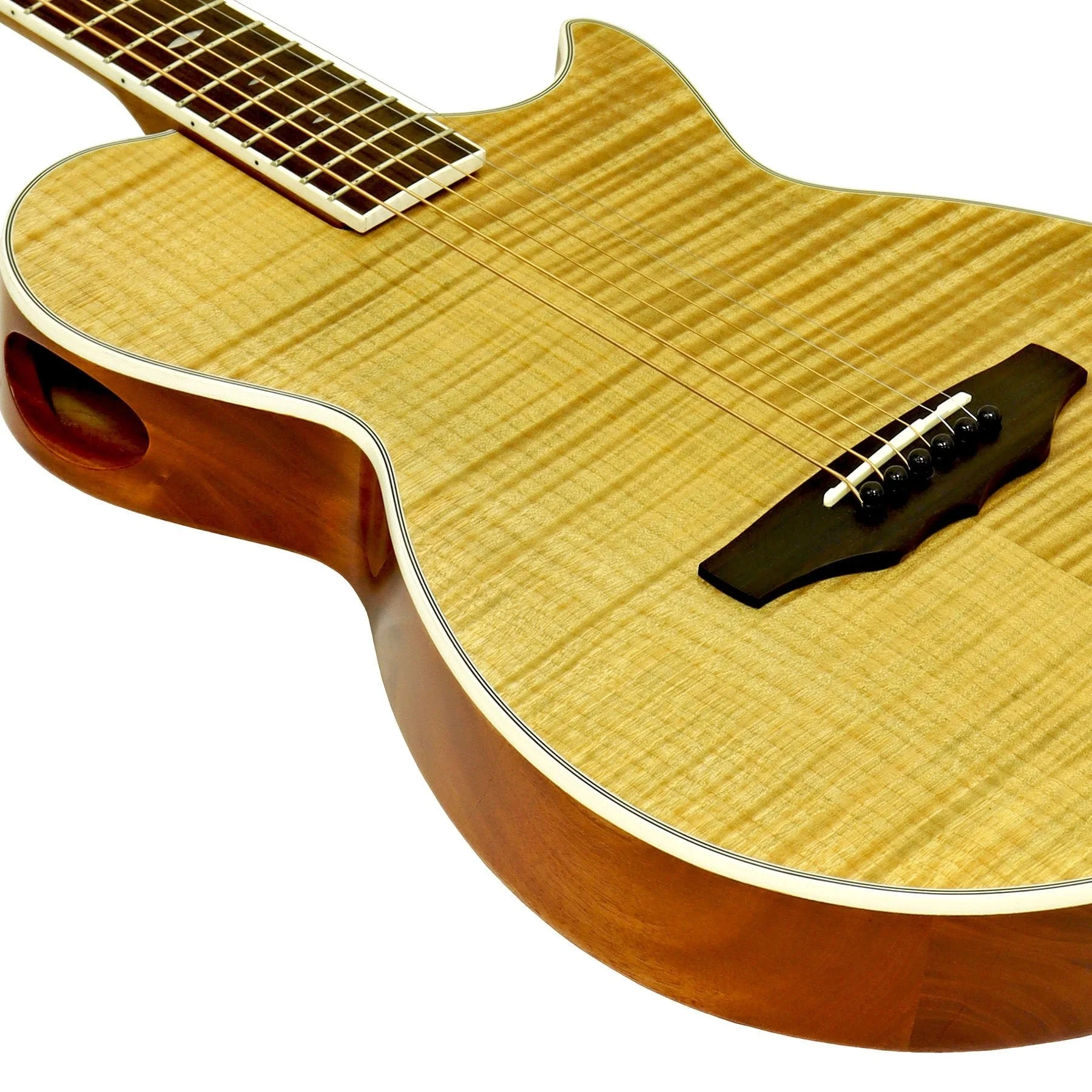 Aria APE100N Elektro Akustik Gitar