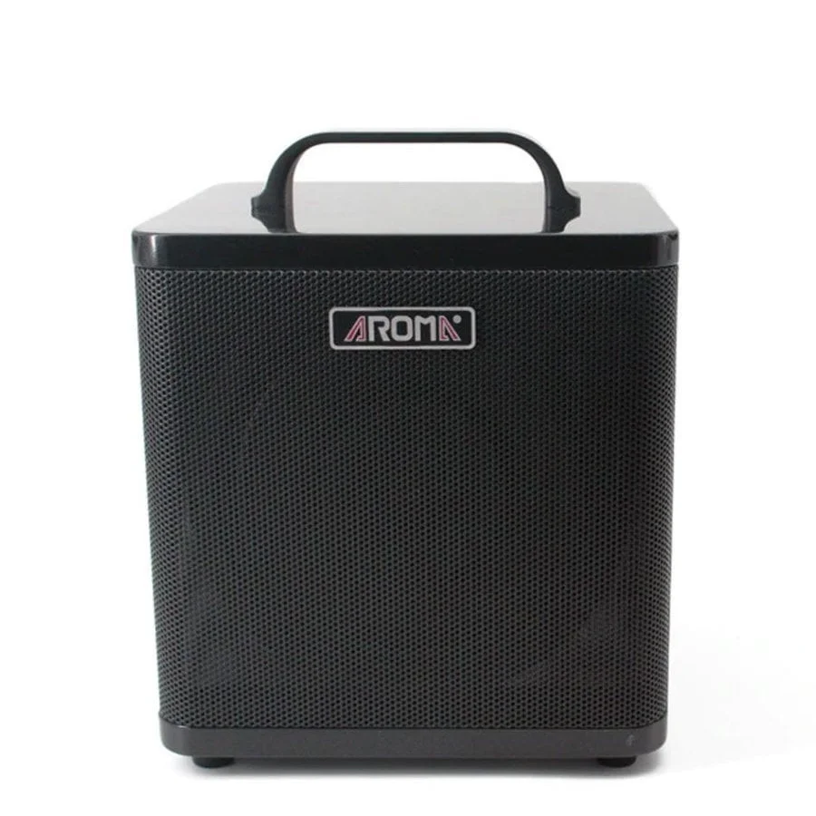 Aroma AG40A Akustik Gitar Amfisi