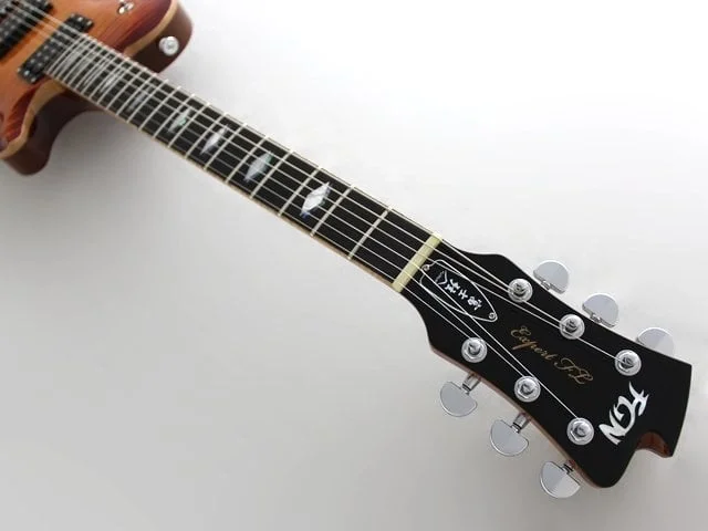 Fujigen EFLFMVV Elektro Gitar