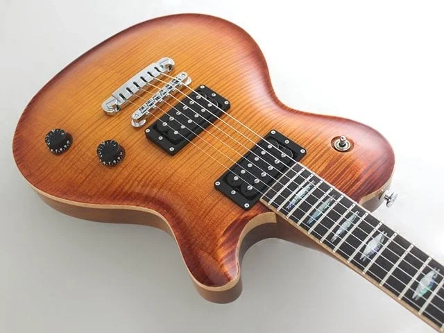 Fujigen EFLFMVV Elektro Gitar