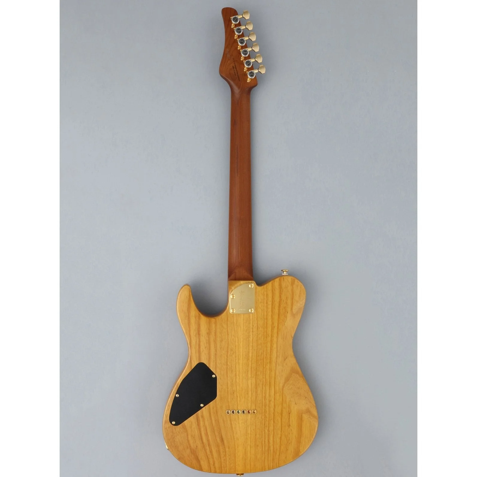 Fujigen Iliad Elektro Gitar EILEW2HSRM/VNT