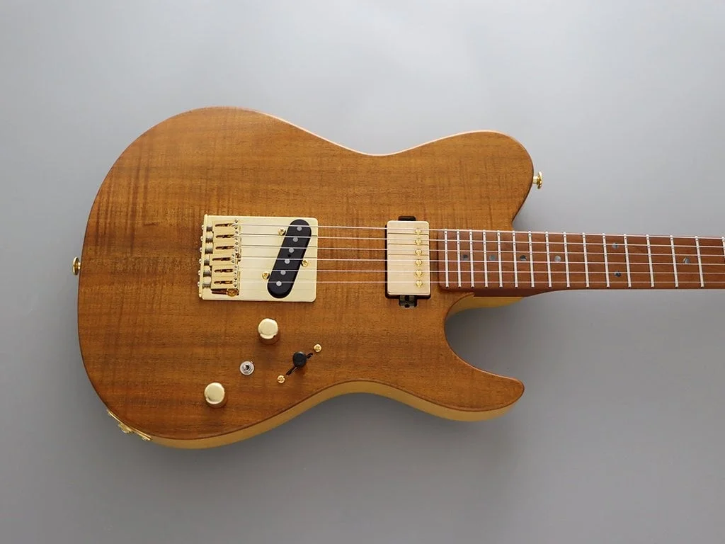 Fujigen Iliad Elektro Gitar EILEW2HSRM/VNT