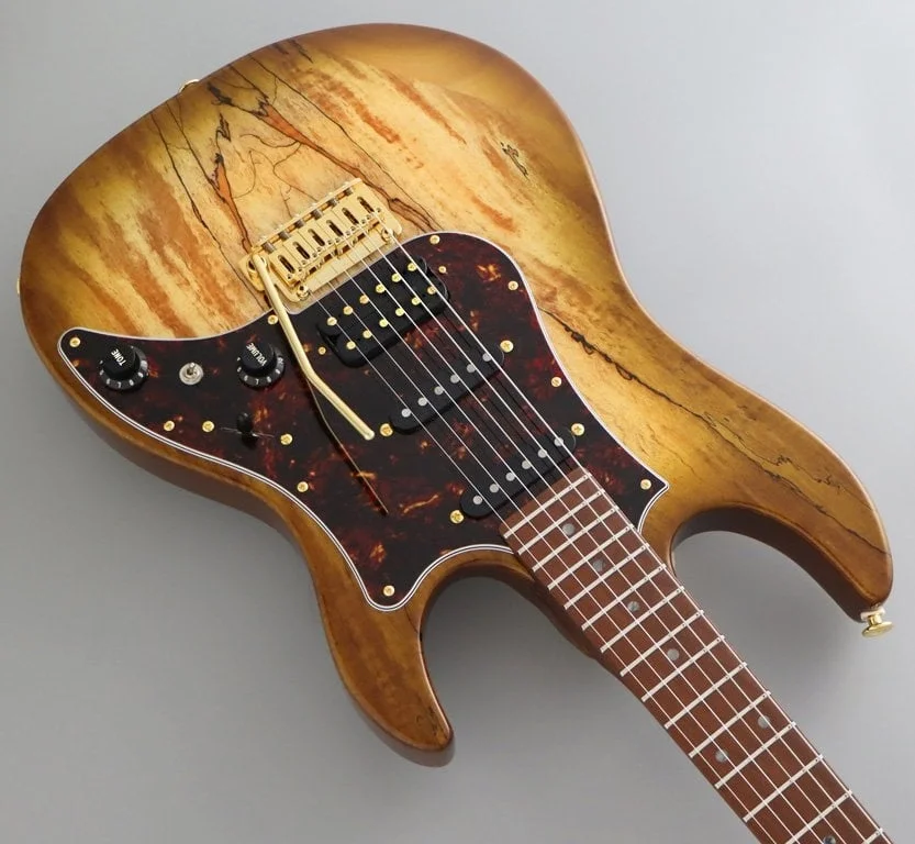 Fujigen Odyssey Elektro Gitar EOS2EW1RM/HCB