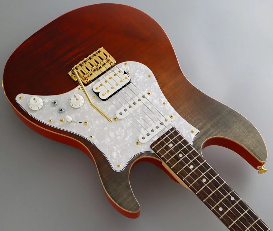 Fujigen Odyssey Elektro Gitar EOS2FMR/RKG