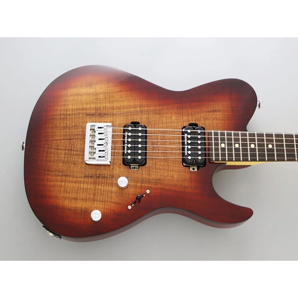 Fujigen Iliad Elektro Gitar JIL2DUEW2RKNB