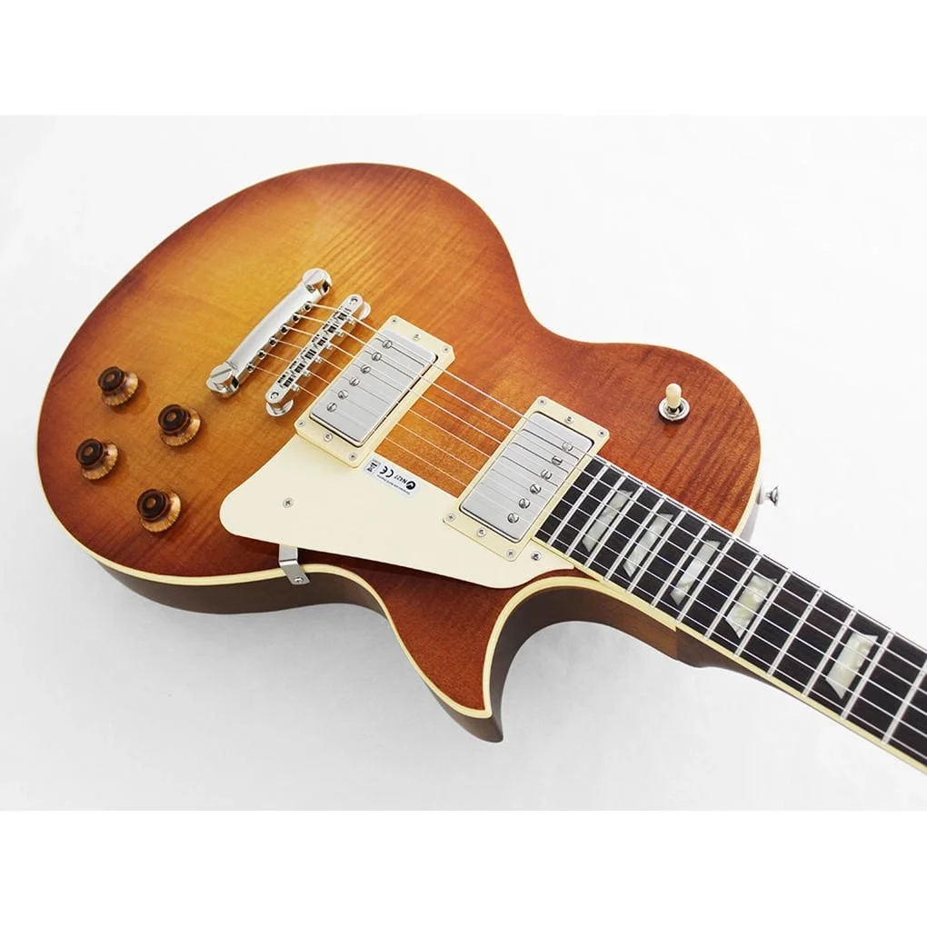 Fujigen Neo Classic Elektro Gitar NCLS-30R-BF/VV