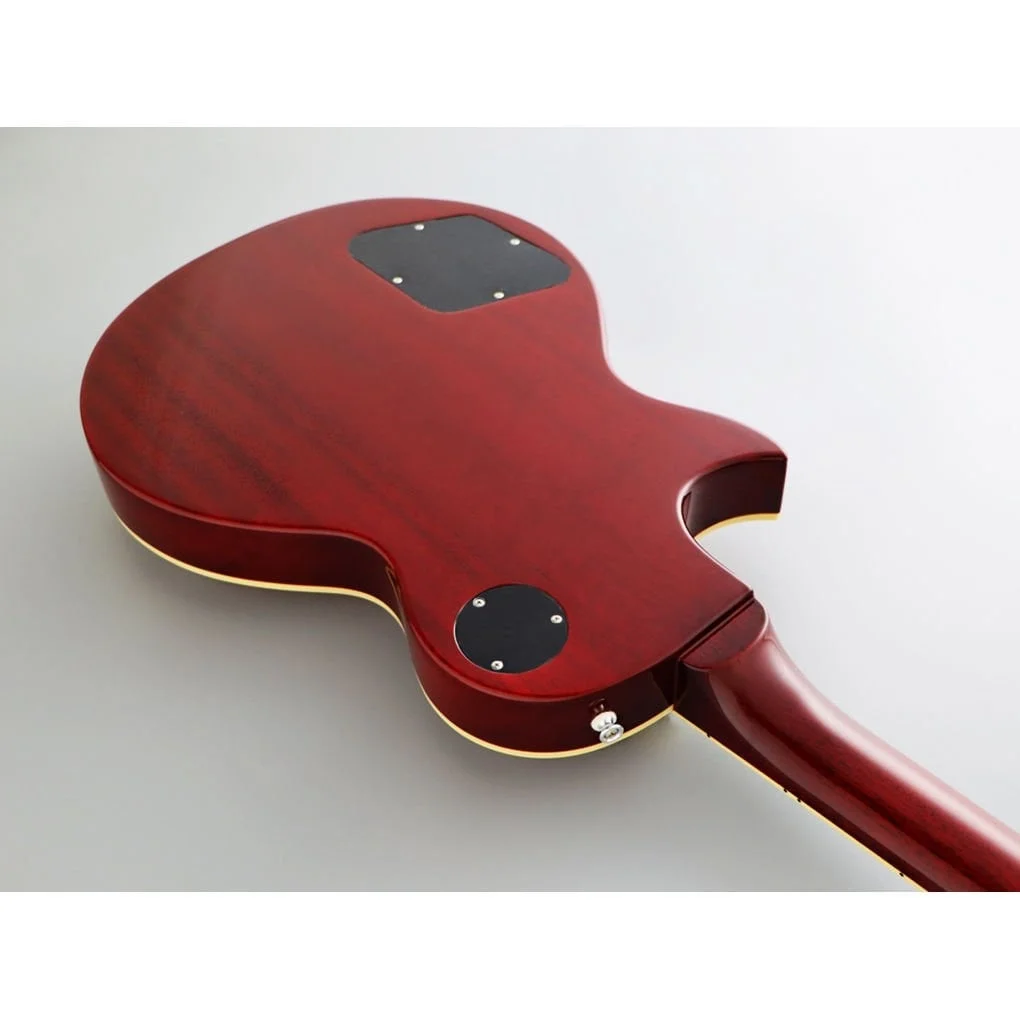 Fujigen Neo Classic Elektro Gitar NLS10RFM/FCB