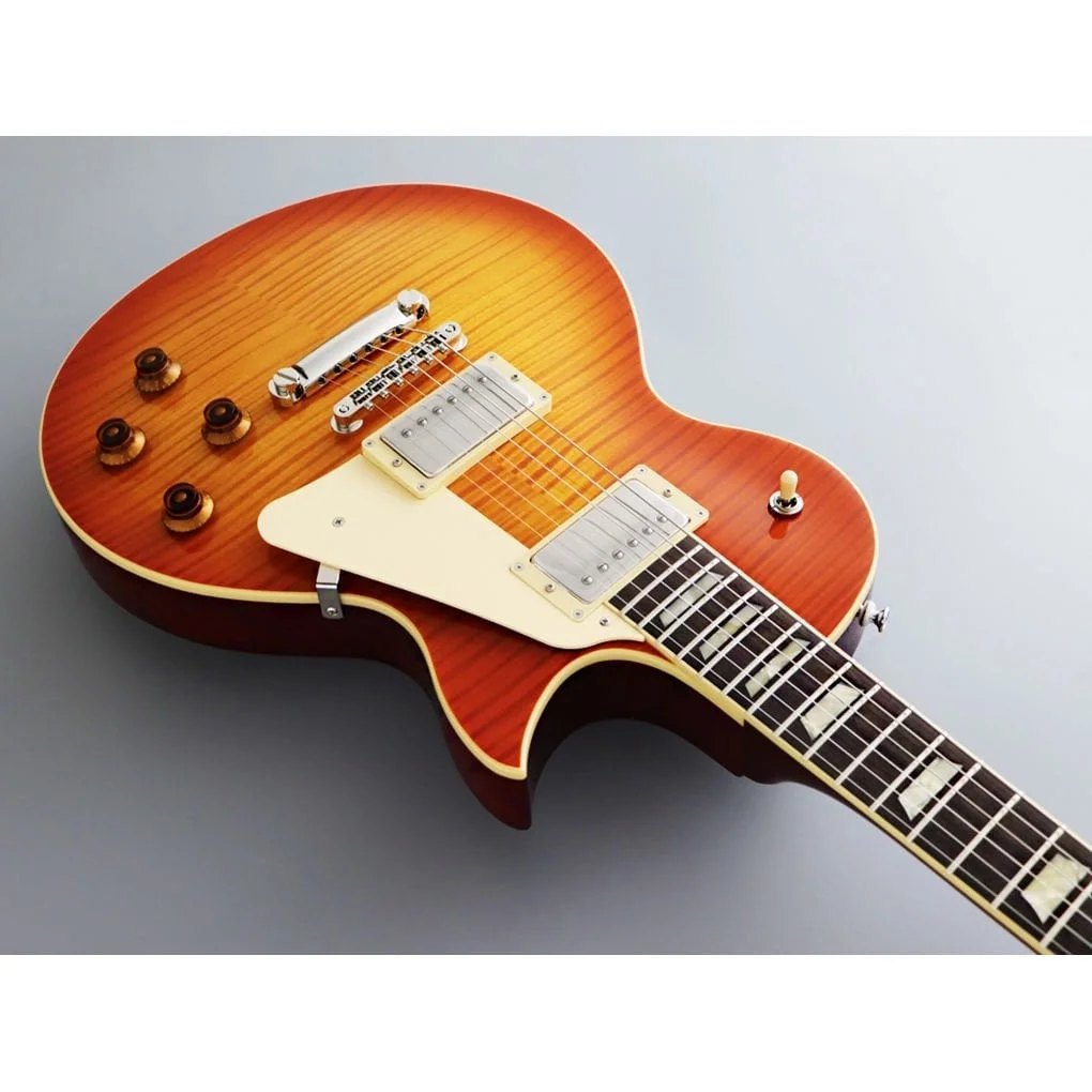 Fujigen Neo Classic Elektro Gitar NLS10RFM/FCB