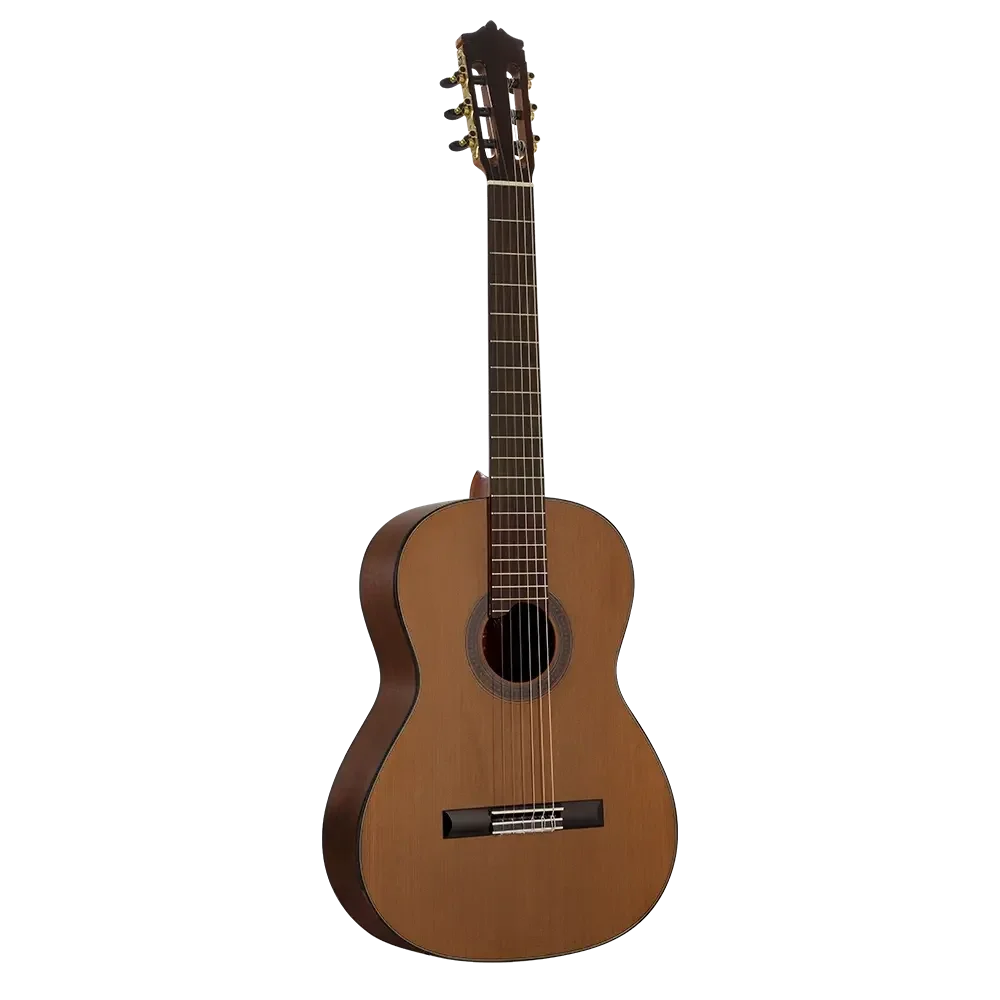 Martinez MC-48C Standard Serisi Klasik Gitar